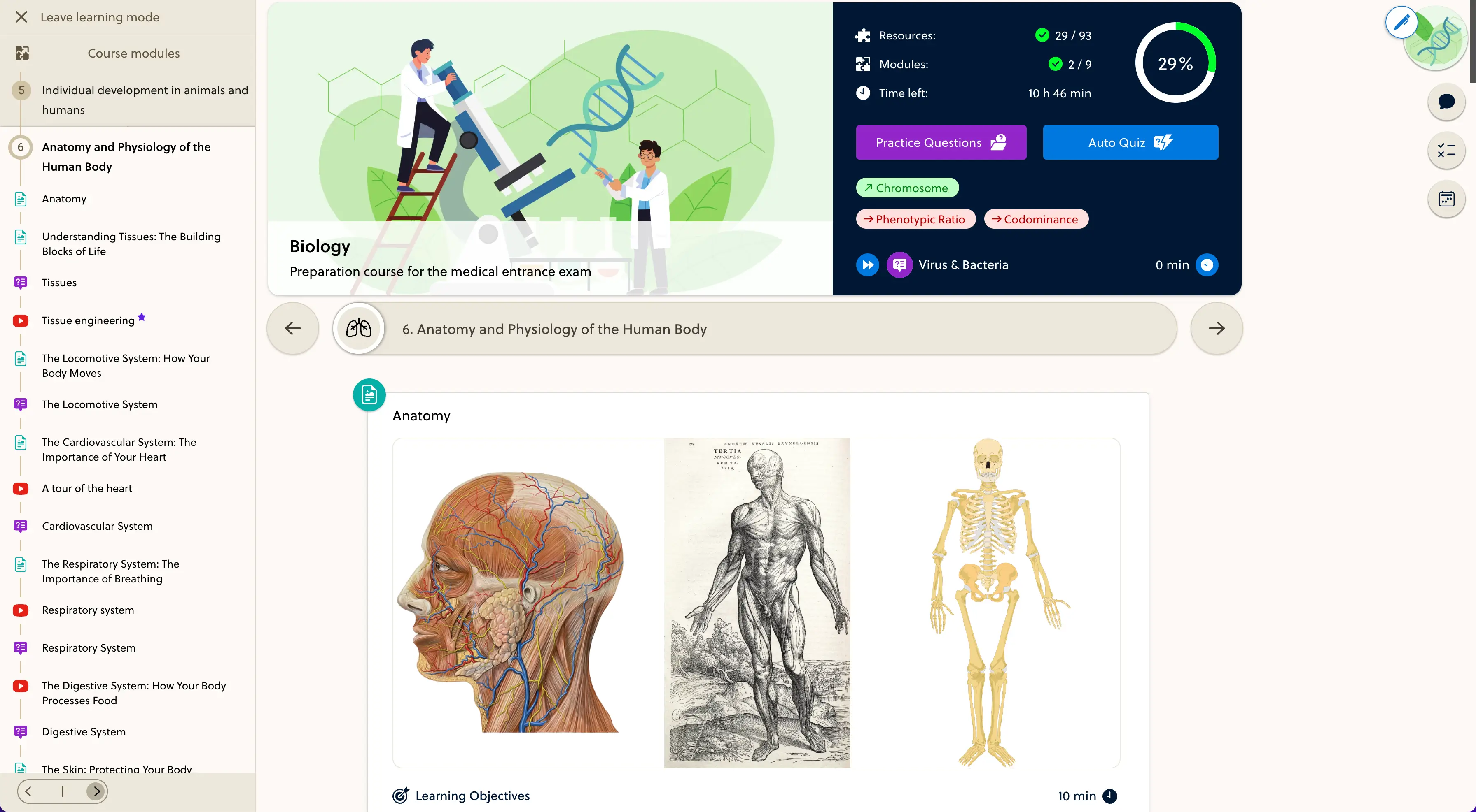 IMAT Mentor structured online course