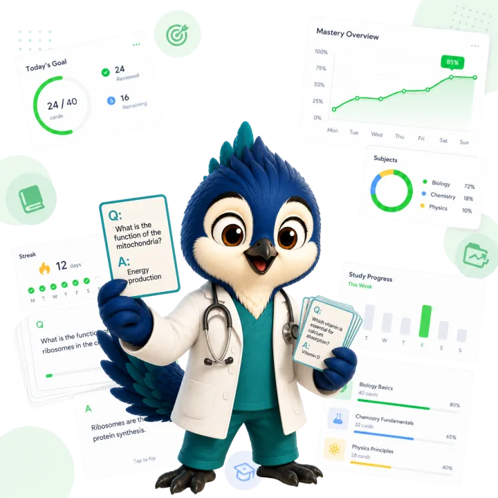 IMAT subject flashcards and mastery tracking