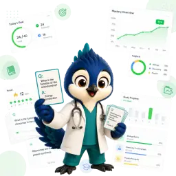 IMAT subject flashcards and mastery tracking